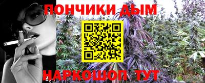 метадон Новозыбков