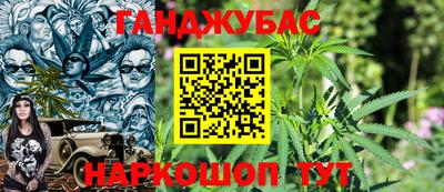 гидра Новокубанск